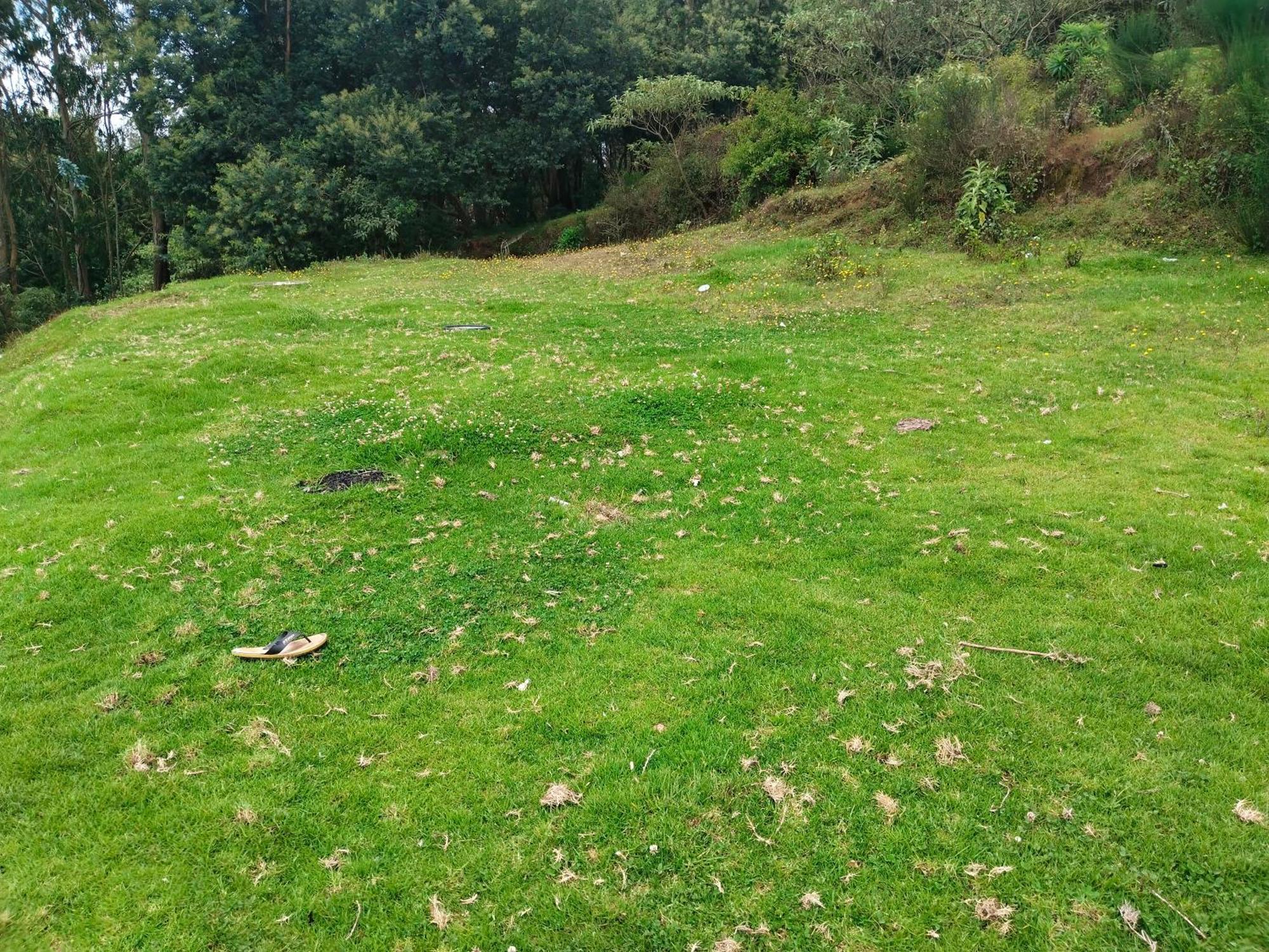Bs Dreamz Ooty Daire Dış mekan fotoğraf